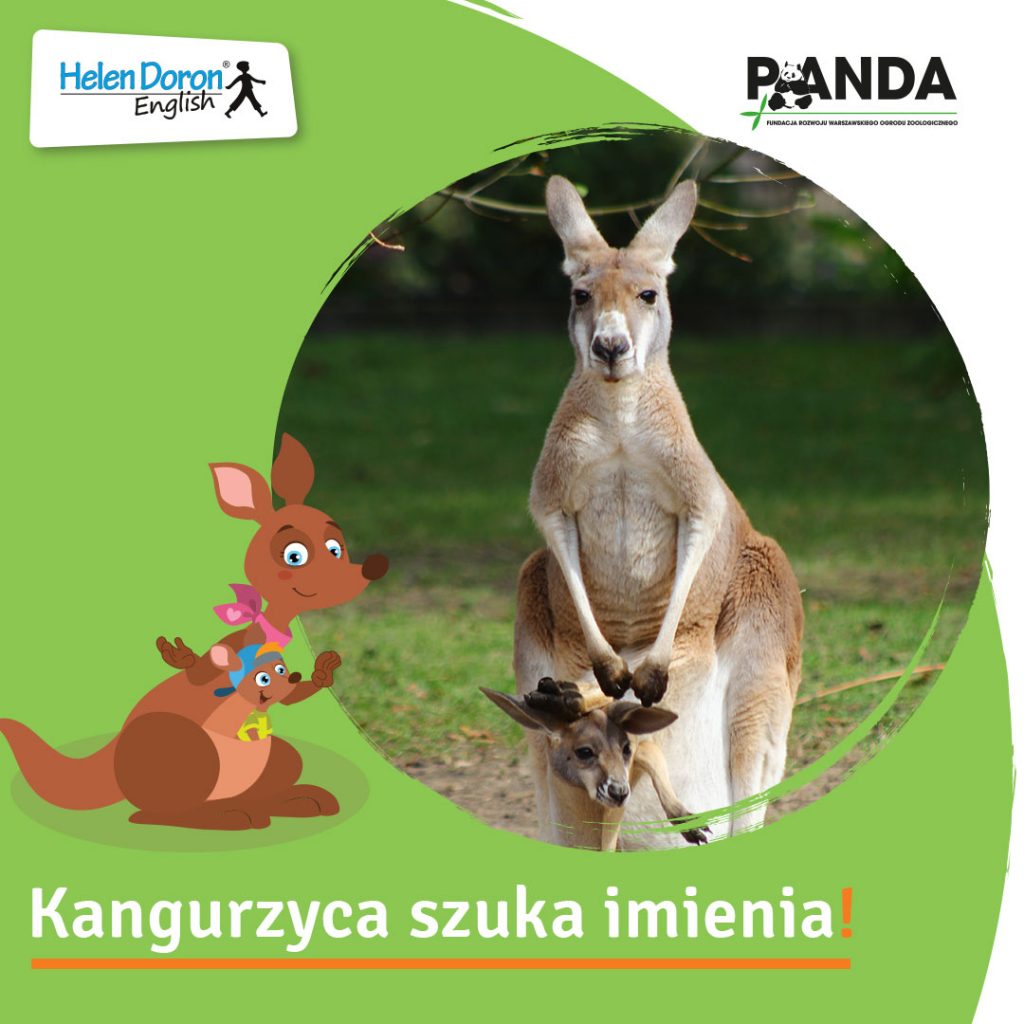 konkurs kangur FB 6 - Helen Doron English