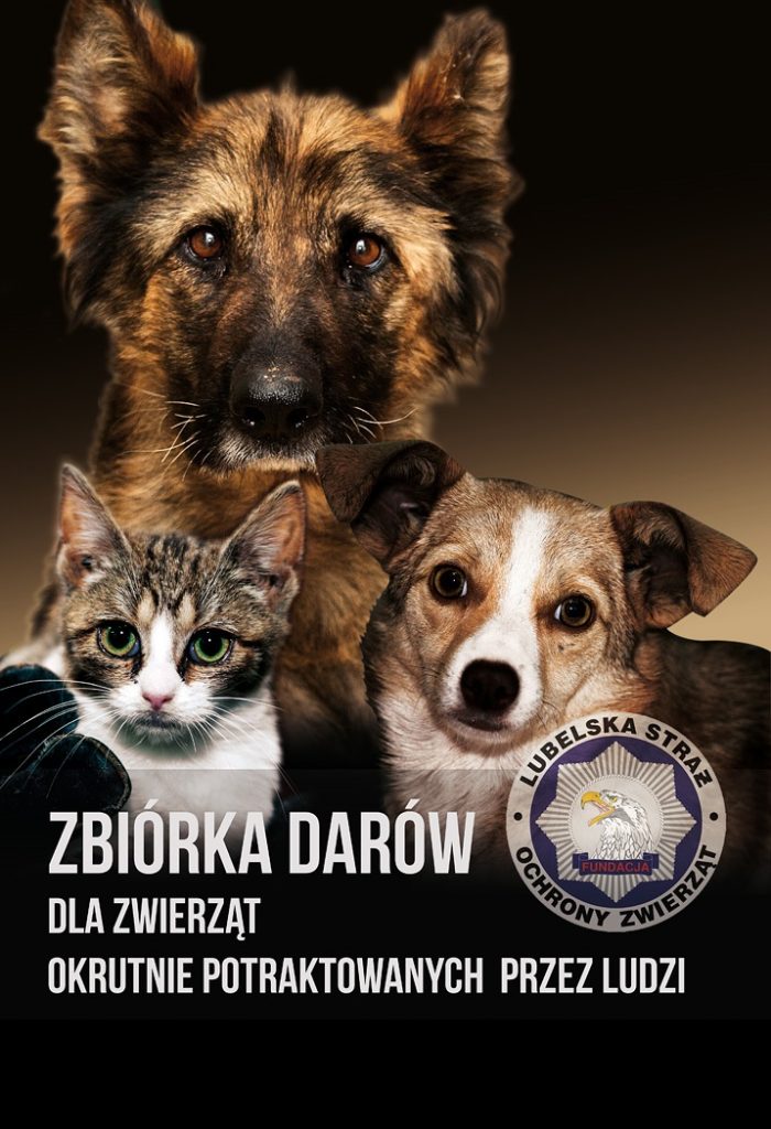 plakat zbiorka - Helen Doron English
